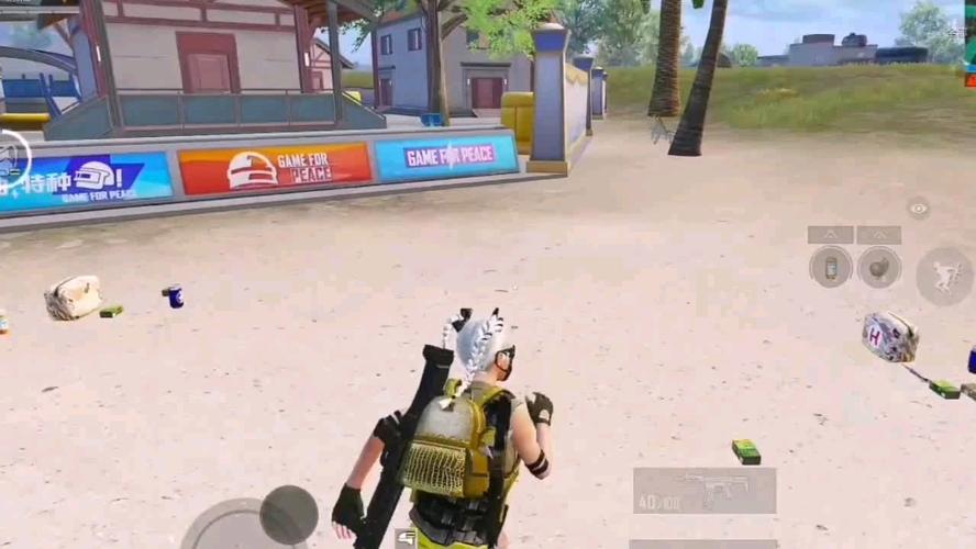 和平精英辅助【兵王】